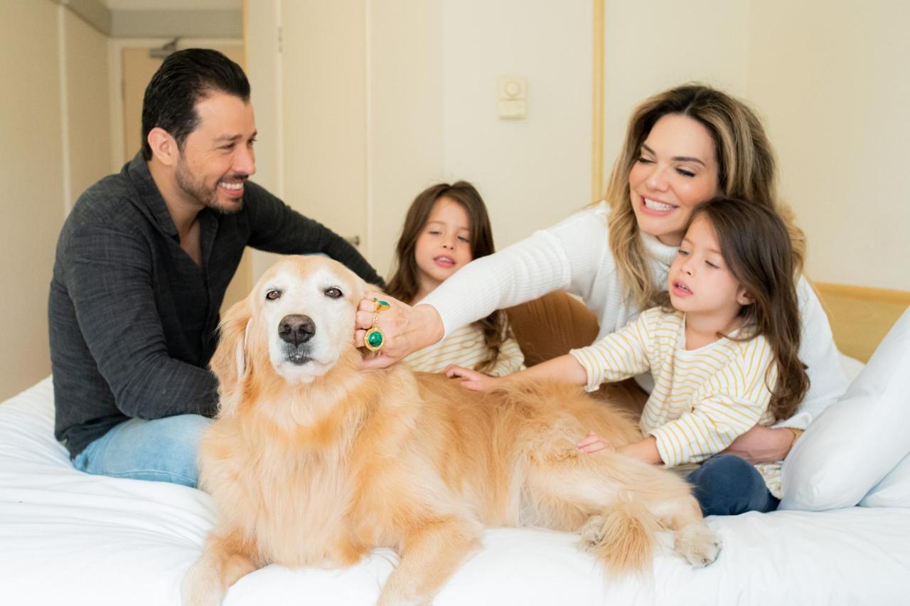 Ibis Taubate Ξενοδοχείο Εξωτερικό φωτογραφία